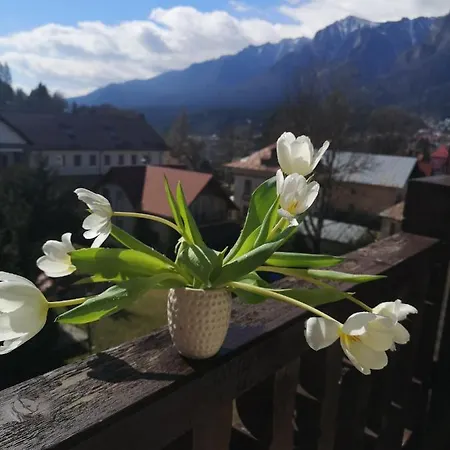 D&a Apartament Busteni
